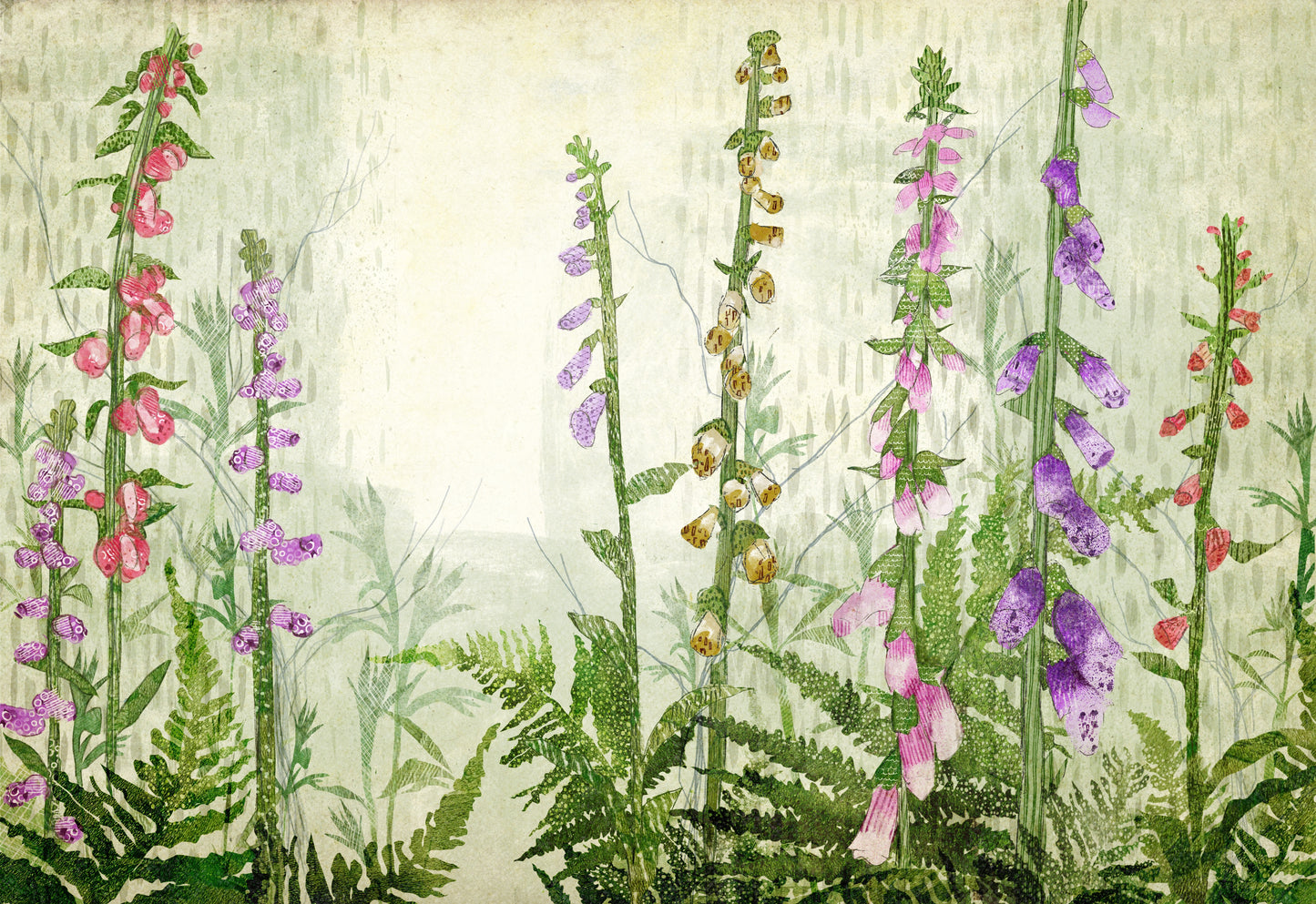 Fine Art Print 'Foxglove Glade'