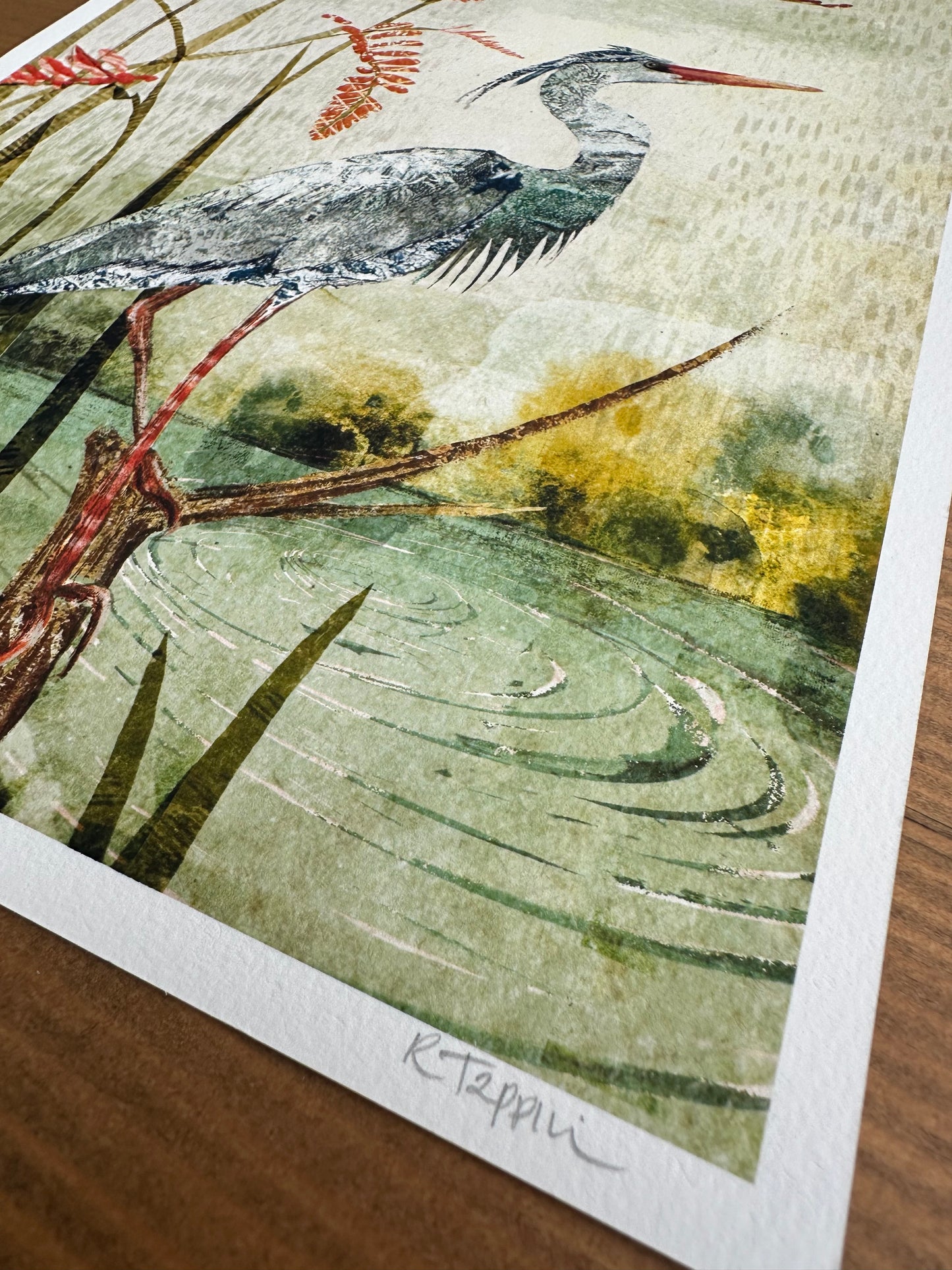 Fine Art Print 'Waterside Heron'