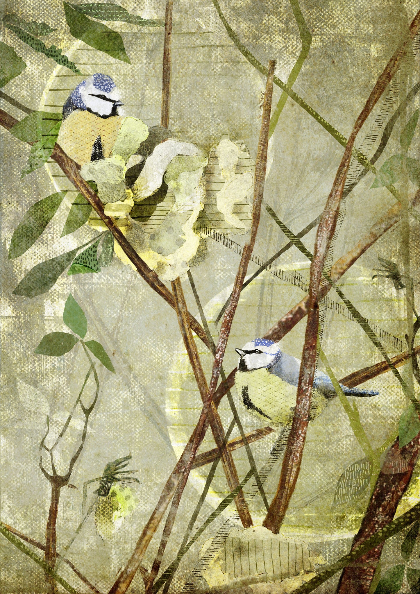 Fine Art Print 'Two birds in the Rose Bush'