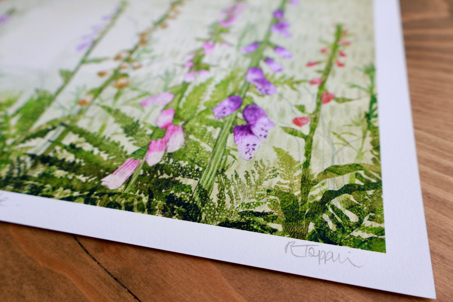 Fine Art Print 'Foxglove Glade'