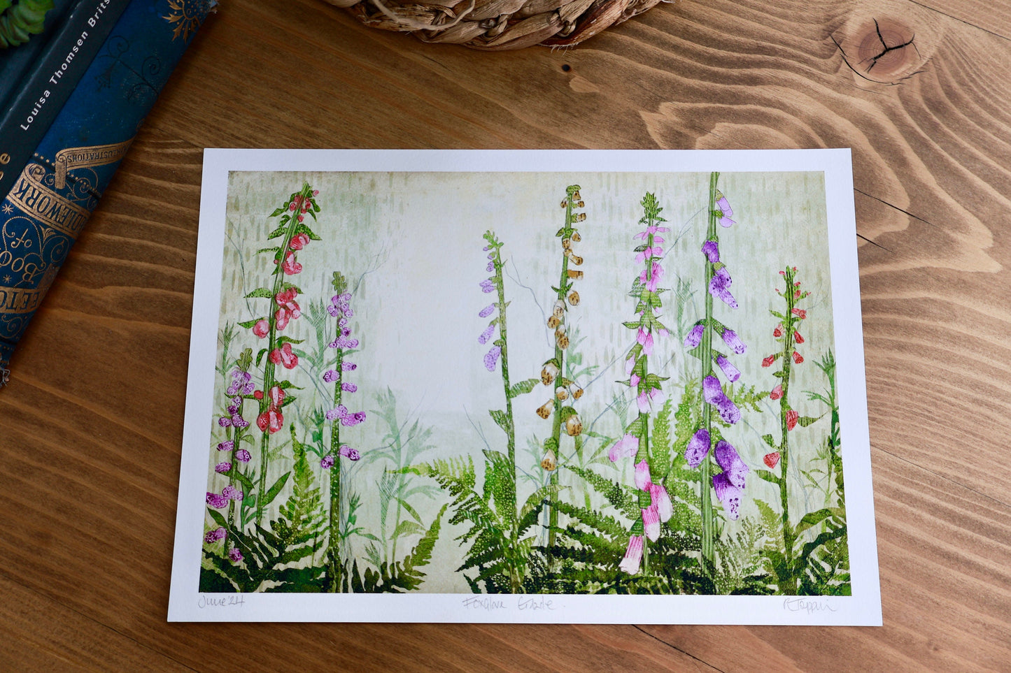 Fine Art Print 'Foxglove Glade'