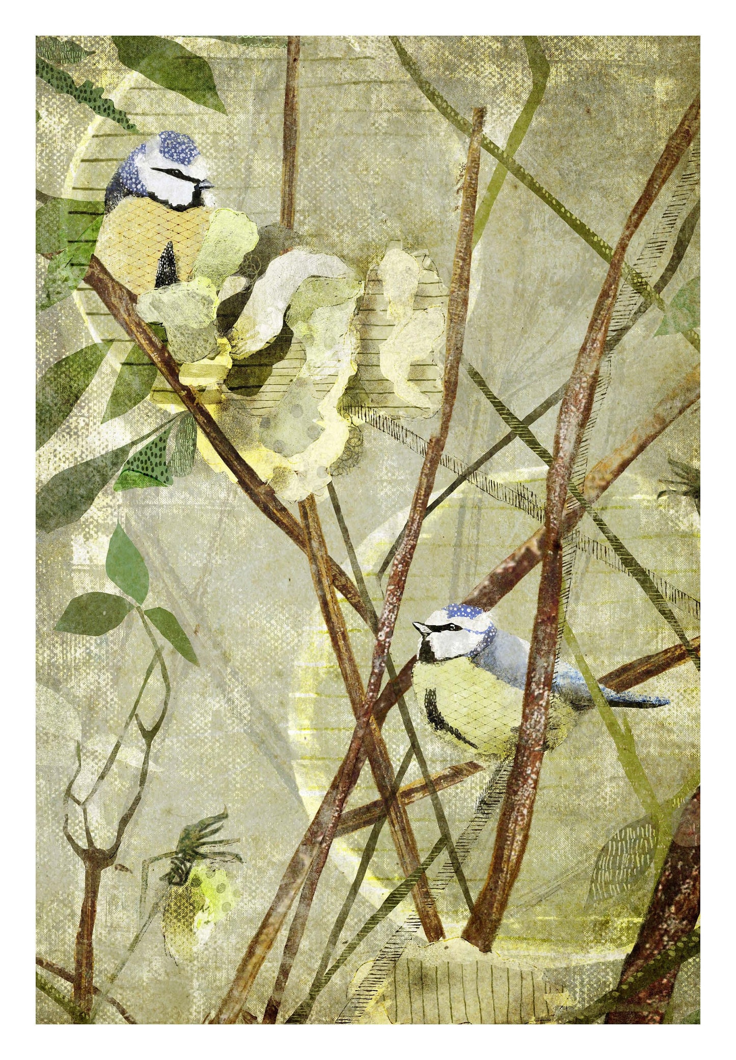 Fine Art Print 'Two birds in the Rose Bush'